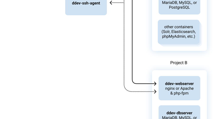 DDEV Container Architecture
