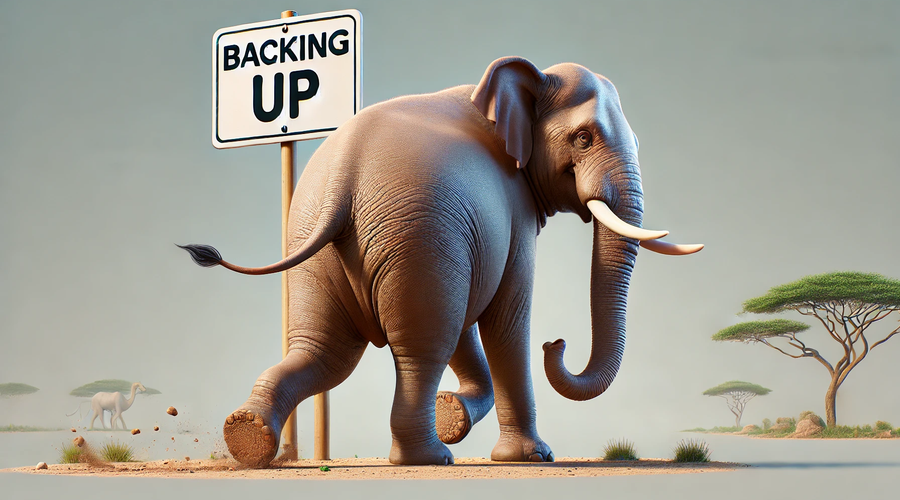 Elephant walking backwards, 'backing up'