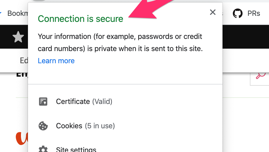 Extreme closeup screenshot of a browser with a `.ddev.site` emphasizing “Connection is secure”