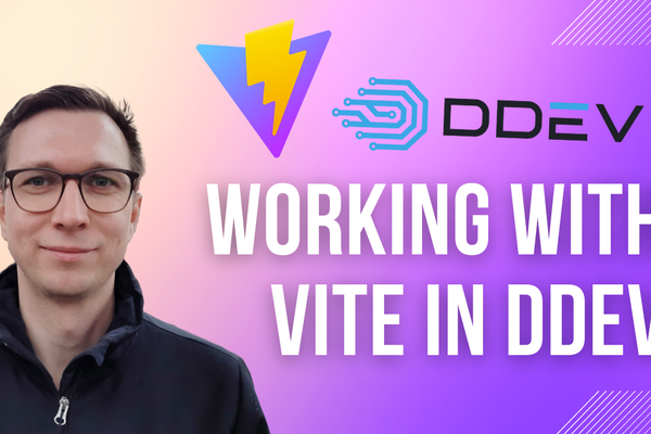 Working with Vite in DDEV
